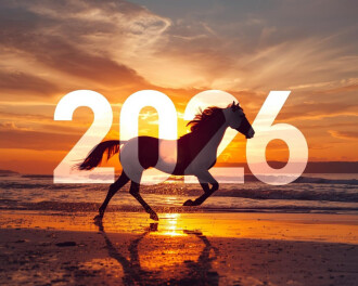 新年明けましておめでとうございます！！！！